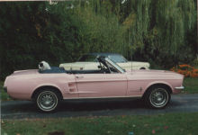 Pink Mustang 11