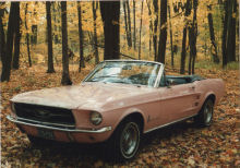 Pink Mustang 13