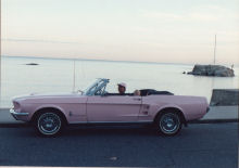 Pink Mustang 14