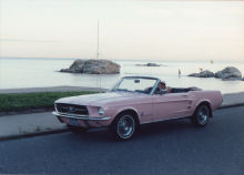 Pink Mustang 15