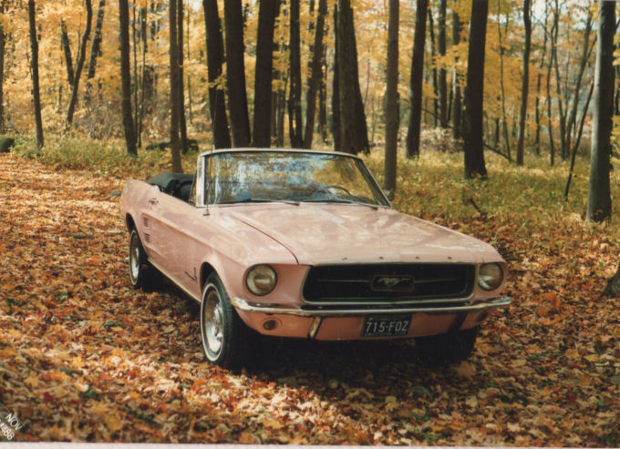 Pink Mustang 18