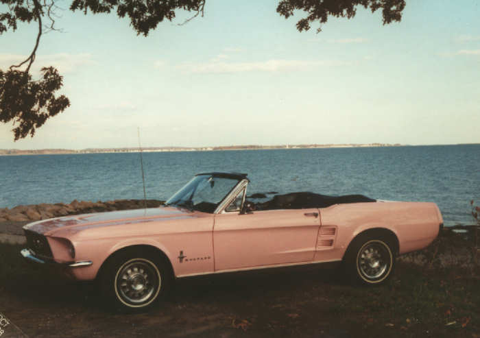 1967 Playboy Pink Mustang